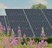 Vertikální panely míří na česká pole a rozšiřují možnosti agrovoltaiky